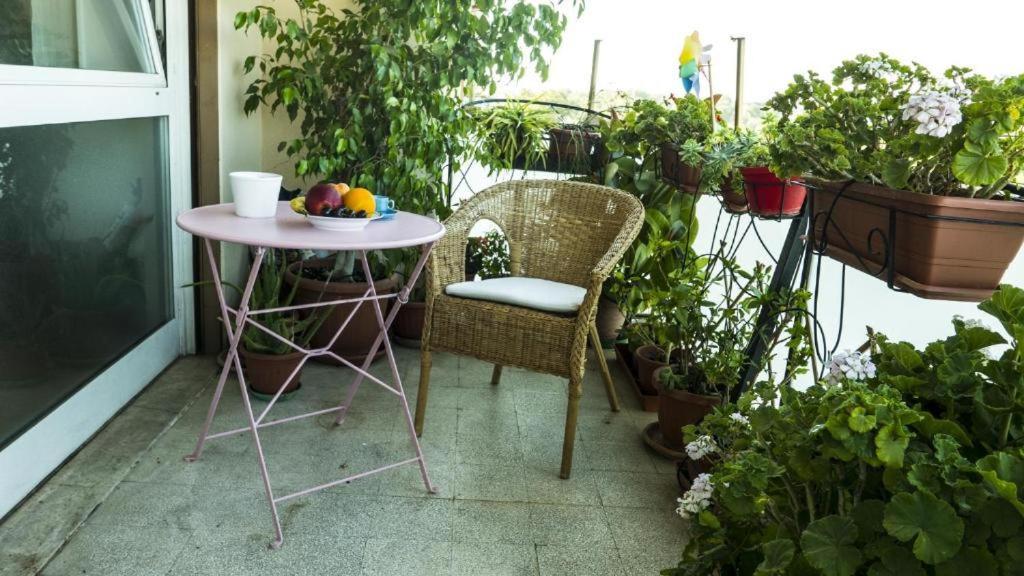 Conca D'oro 212 Apartment *